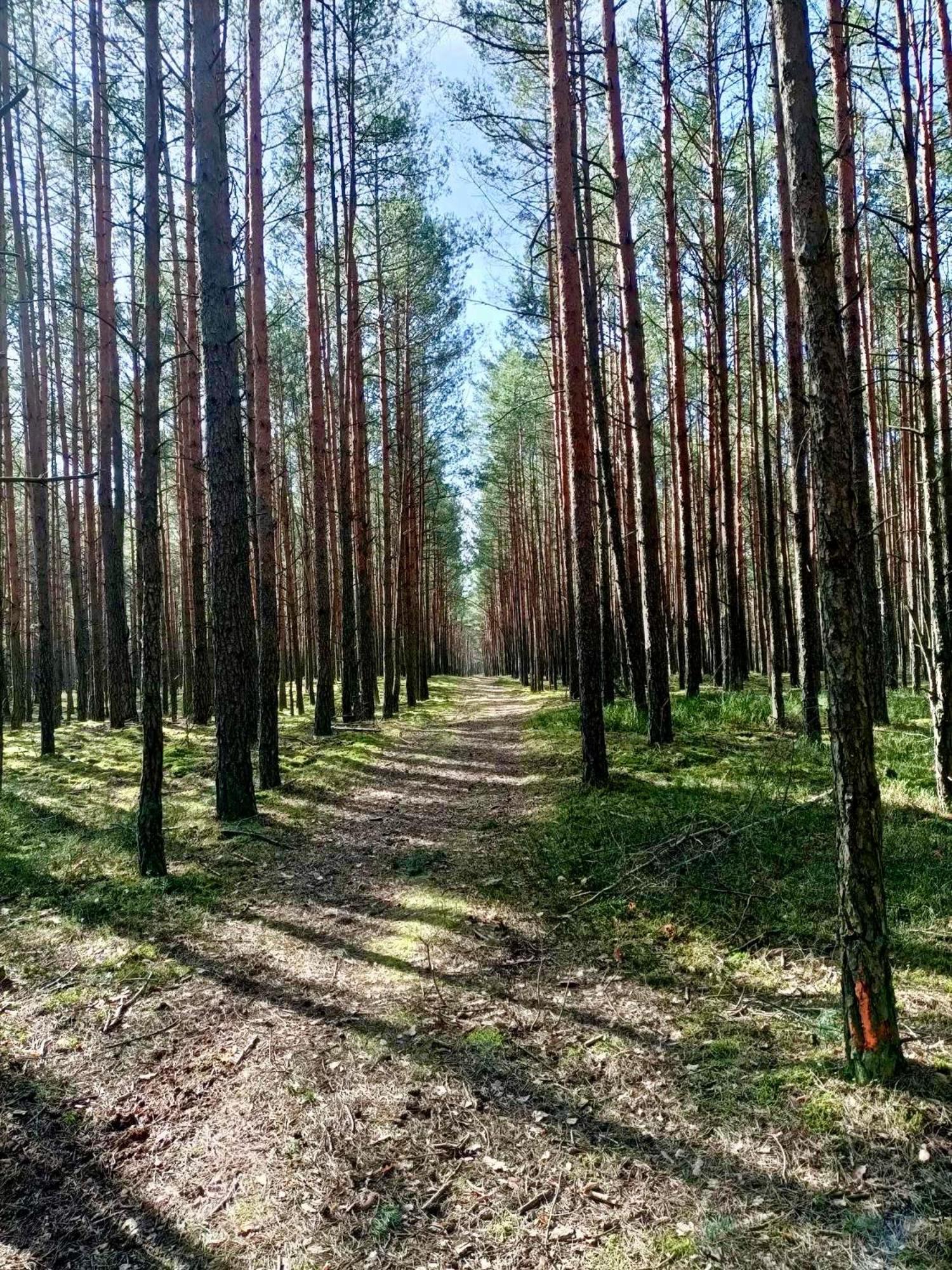 Rzadza Lesniczowka 빌라 외부 사진